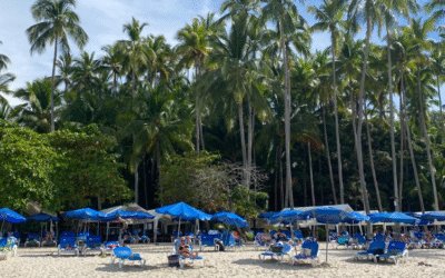 Why Jaco is the Perfect Starting Point for Your Costa Rica Trip