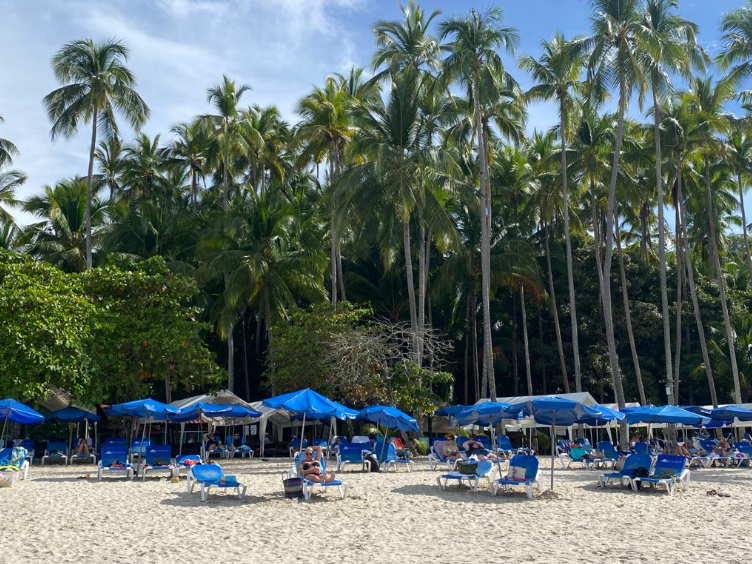 Why Jaco is the Perfect Starting Point for Your Costa Rica Trip